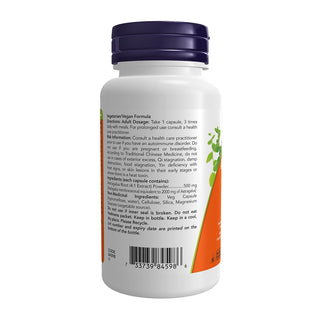 Now Astragalus Extract 90 Veggie Caps