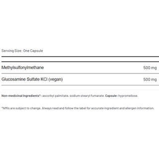 AOR MSM + Glucosamine 1000mg 100 Capsules