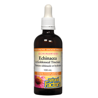 Natural Factors Echinamide Echinacea & Goldenseal Tincture 100mL