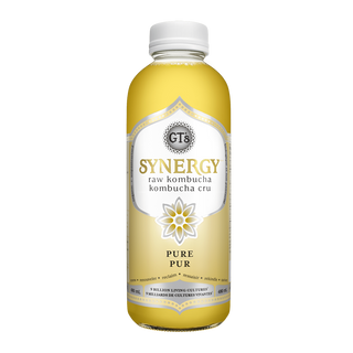 GT Kombucha Raw Kombucha pure 480mL