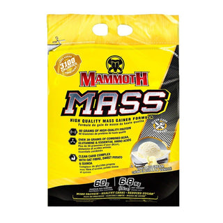 Mammoth Mass Vanilla Ice Cream 15lbs