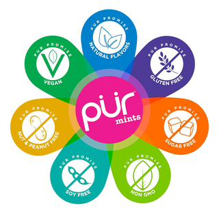 Pur Gum Pur Mints Tin Peppermint 30g