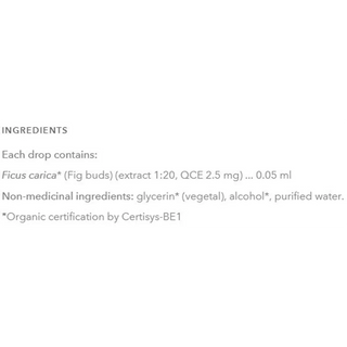 HerbalGem G-45 Ficus Carica 30mL